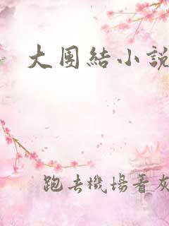 大团结小说阅读