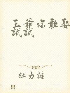 王爷你敢娶小三试试