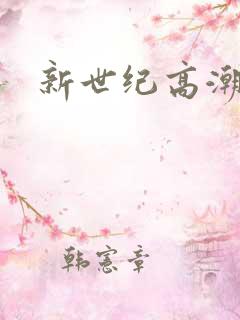 新世纪高潮战队