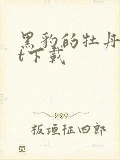 黑豹的牡丹txt下载