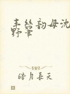 丰丝韵母沈蓉书野笔