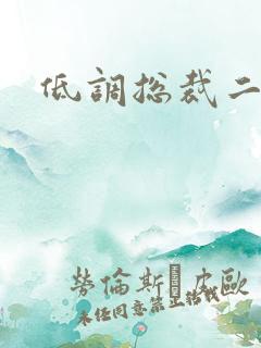 低调总裁二手妻