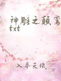 神雕之颠鸾倒凤txt
