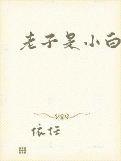 老子是小白脸
