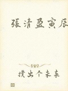 张清盈寅辰小说
