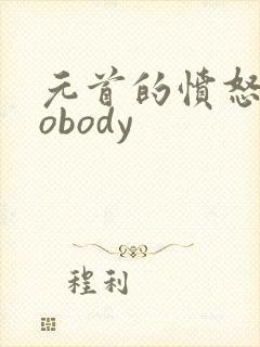 元首的愤怒之nobody