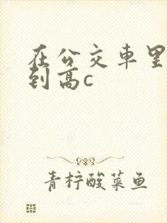 在公交车里c弄到高c