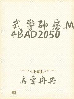 武警帅痞.MP4BAD2050