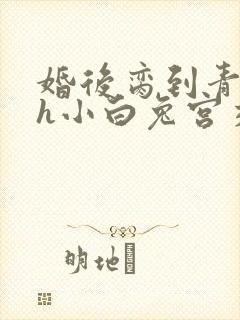 婚后脔到青梅哭h小白兔宫交h