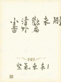 小清欢未删减版番外篇