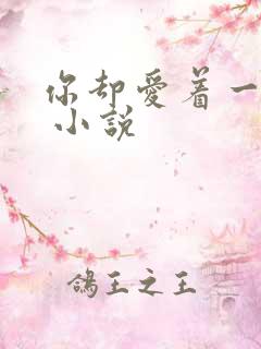 你却爱着一个他 小说