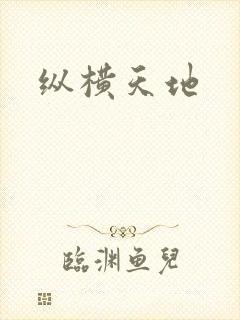 纵横天地