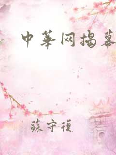 中华网揭幕内参