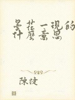 昙花一现的现是什么意思