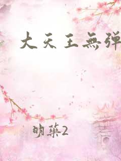 大天王无弹窗