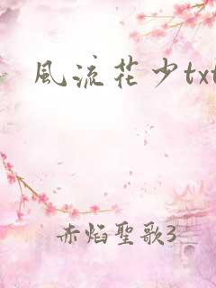 风流花少txt