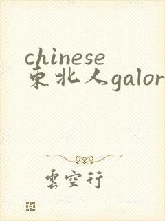 chinese东北人galore