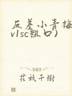 反差小青梅(1v1sc粗口)