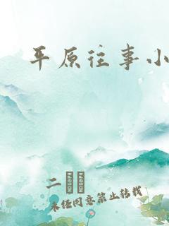 平原往事小说