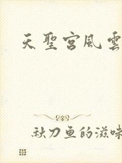 天圣宫风云录