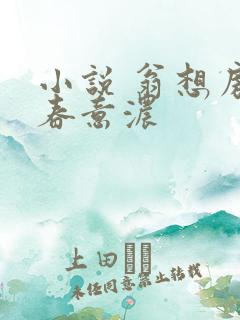 小说 翁想房中春意浓