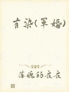 有染(军婚)