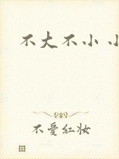 不大不小 小说