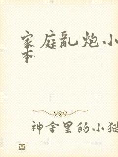 家庭乱炮小说全本