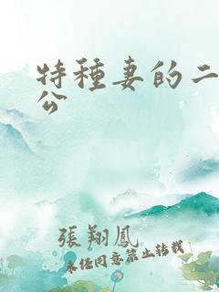 特种妻的二手老公