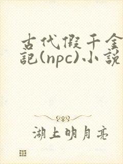 古代假千金挨日记(npc)小说