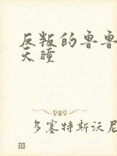 反叛的鲁鲁修之天瞳