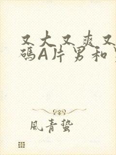 又大又爽又黄无码A片男和男