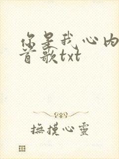 你是我心内的一首歌txt