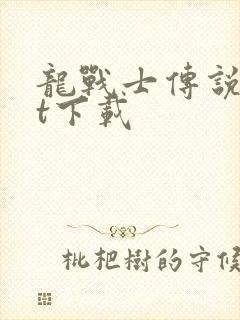 龙战士传说txt下载