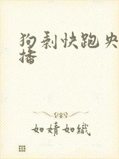 狗剩快跑央八首播