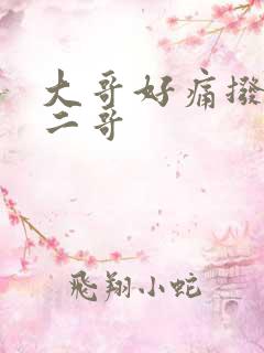 大哥好痛拨出去二哥