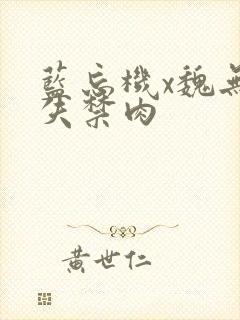 蓝忘机x魏无羡失禁肉