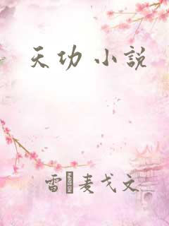 天功 小说