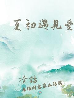 夏初遇见爱