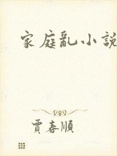家庭乱小说