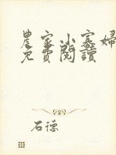 农家小寡妇全文免费阅读