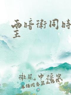 两暗卫同时h公主