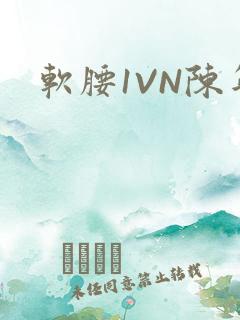 软腰1VN陈年