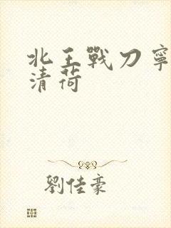北王战刀宁北苏清荷