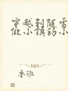 穿越到随处可以做小镇的小说