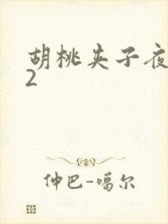 胡桃夹子夜未眠2