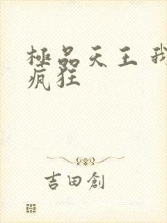 极品天王 我本疯狂