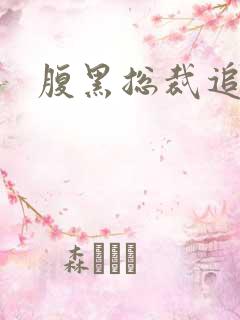 腹黑总裁追娇妻