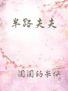 半路夫夫