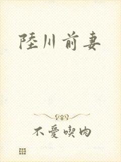 陆川前妻